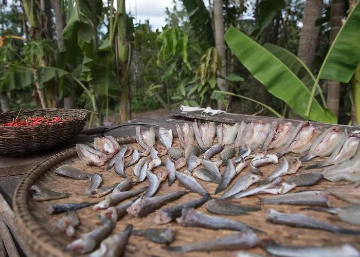 Chansor 9 By Siem Reap Homesteading *
