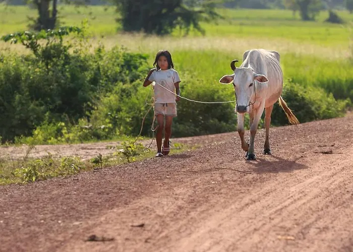 Kwatera prywatna Chansor 9 By Siem Reap Homesteading Phumi Trach Pok