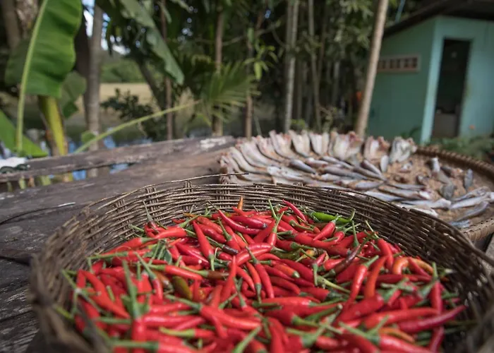 Chansor 9 By Siem Reap Homesteading Kwatera prywatna