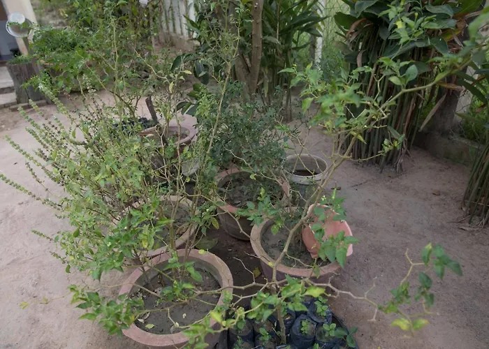 Chansor 9 By Siem Reap Homesteading Kwatera prywatna *