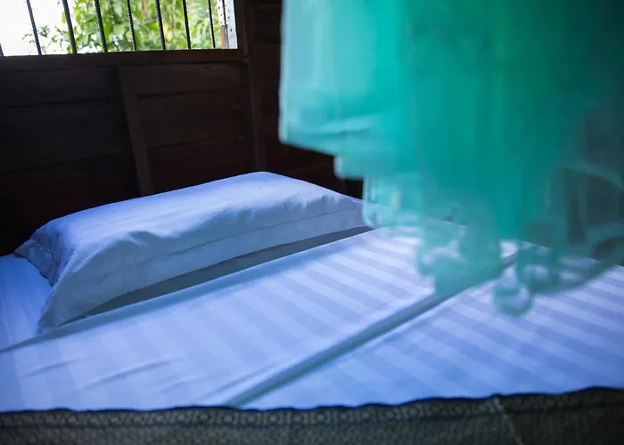Chansor 9 By Siem Reap Homesteading * Phumi Trach Pok
