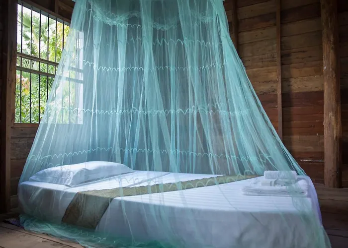 Chansor 9 By Siem Reap Homesteading